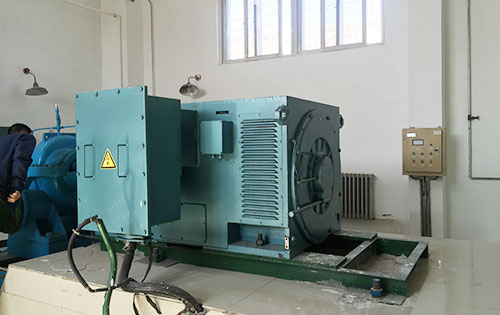 聂拉木某水电站工程主水泵使用我公司高压电机
