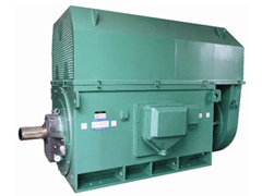 聂拉木Y系列6KV高压电机